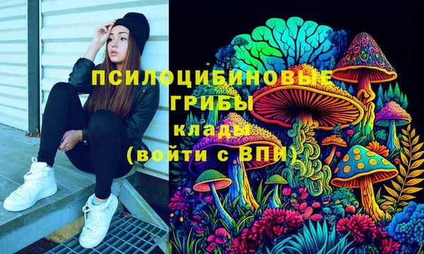 соль ск Арсеньев