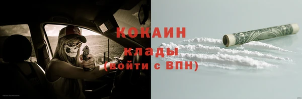соль ск Арсеньев