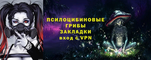 соль ск Арсеньев