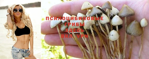 соль ск Арсеньев