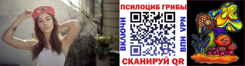 как найти наркотики  Кировск  Псилоцибиновые грибы Psilocybe 