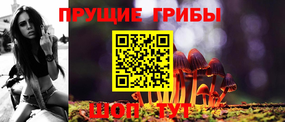 Кировск  Галлюциногенные грибы Magic Shrooms  Вход с VPN 